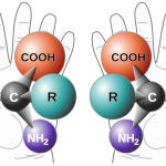 掌性、掌性中心-1