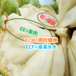 釋迦ECM、ECF